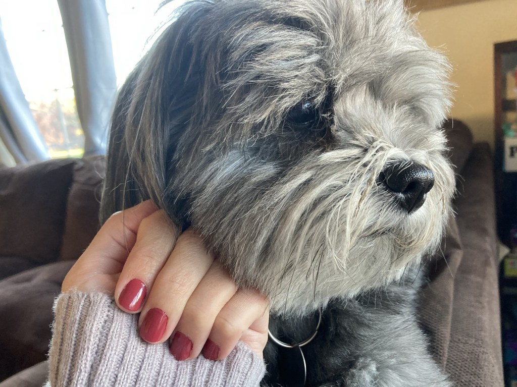 Pictures of Freshly Painted Nails With My Dog Griz